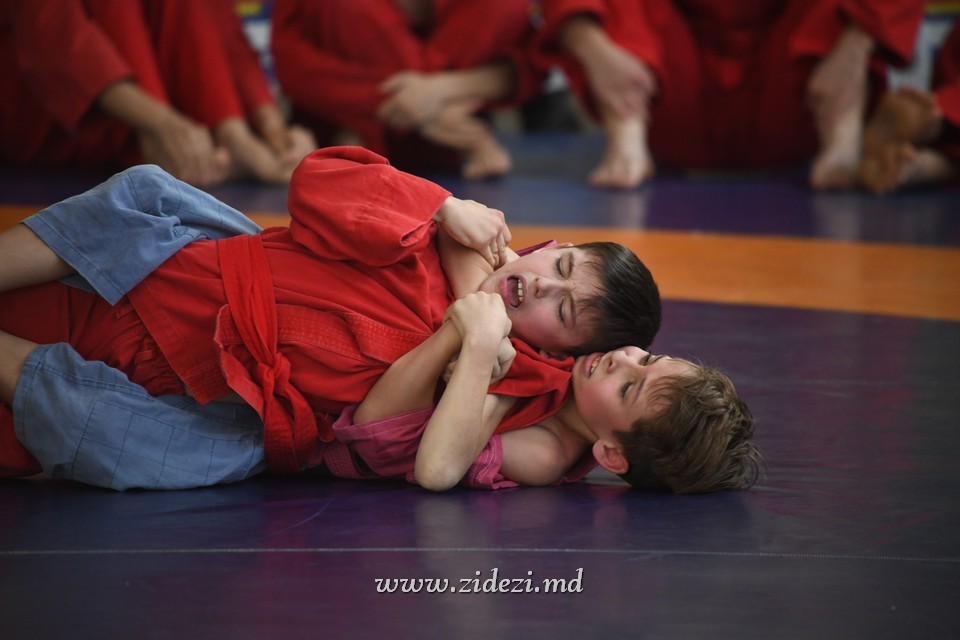 00042 24 960x Campionatul Republicii Moldova la Jiu-Jitsu