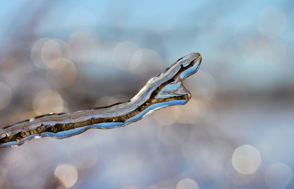frosty-branches-3120646_960_720