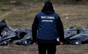 Într-un interviu acordat DW, un expert care cercetează crime de război a sugerat că cazul presupusei execuții a unui soldat ucrainean ar putea fi un exemplu al unor astfel de acțiuni și că ar putea influența opinia publică cu privire la conflictul rusesc din Ucraina.